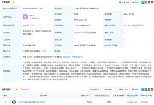 万达在上海成立数字科技公司 布局互联网销售与基础软件服务